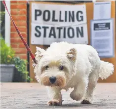  ??  ?? Doggone! Another fine mess you’ve got us into. Going home from the poll in Croydon