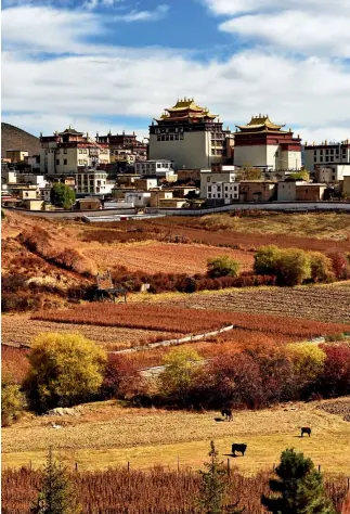  ?? Fotos de Yu Xiangjun ?? Desde las ventanas del Songtsam Linka Retreat es posible contemplar todo el esplendor del monasterio Ganden Sumtseling.