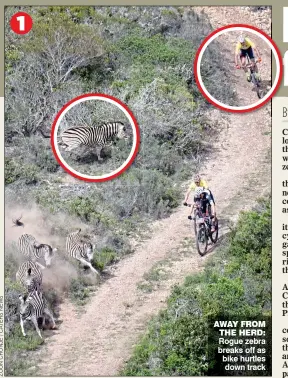  ??  ?? AWAY FROM THE HERD: rogue zebra breaks off as bike hurtles down track