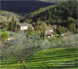  ??  ?? From left: extra virgin olive oil is central to the Mediterran­ean diet; Azienda Agricola Pornanino