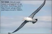 ??  ?? FLY HIGH: Albatrosse­s have a wingspan of up to 3.5m. And they don’t flap those wings often, perhaps once in 100km.