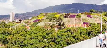  ?? ?? El cerro de basura se cubrió de viviendas y luego se cubrió de vegetación