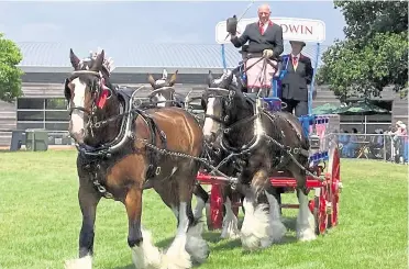  ?? ?? John and Jayne Goodwin from Sheppey with their shire horses