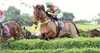  ?? PHOTO: TRISH DUNELL ?? Wise Men Say and Isaac Lupton will be one of the leading chances in Saturday’s Pakuranga Hunt Cup.