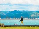  ?? Photo / Paul Taylor ?? Walking the dog in Ahuriri, Napier. The Port BeachWest area is now offlimits.