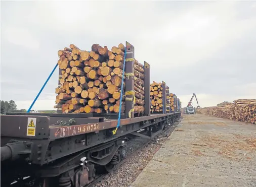  ??  ?? ON THE MOVE: £195,000 has been allocated to Victa Railfreigh­t to run a trial carrying timber between Inverness and Caithness