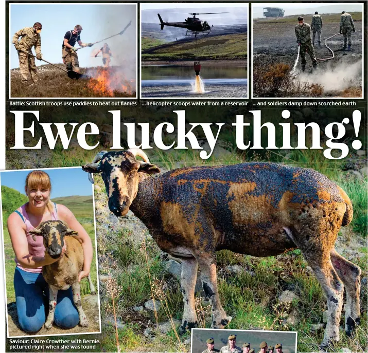  ??  ?? Battle: Scottish troops use paddles to beat out flames ...helicopter scoops water from a reservoir ... and soldiers damp down scorched earth Saviour: Claire Crowther with Bernie, pictured right when she was found