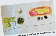  ??  ?? Auf dem Traktor fährt Luca, 5, aus Burk bei Bertoldsho­fen mit.