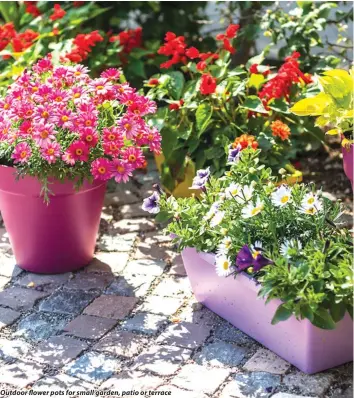  ??  ?? Outdoor flower pots for small garden, patio or terrace