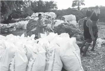  ?? TORREJOS
JOY ?? Workers are resacking the Korean waste dumped in Barangay Tingub, Mandaue City.