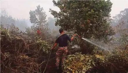  ?? AWANG PIC BY FARIZUL HAFIZ ?? A firefighte­r dousing a peat fire at Jalan Pekan-Kuantan near Penor, Kuantan, yesterday.