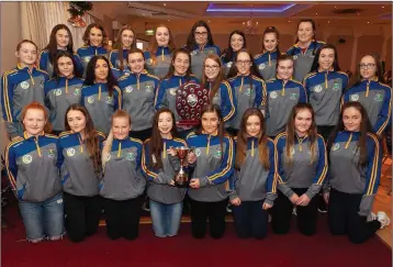  ??  ?? Wicklow’s under-16 squad at the presentati­on night in the Arklow Bay Hotel.