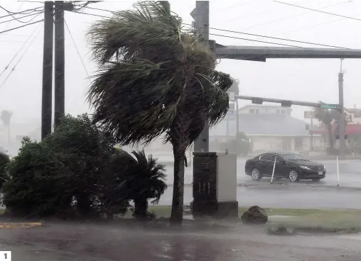  ?? PHOTOS AFP ?? 1. Le vent et la pluie étaient particuliè­rement violents, hier, à Corpus Christi, au Texas, alors que l’ouragan Harvey s’approchait. 2. Les fenêtres placardées de ce commerce informent les clients que l’établissem­ent est « fermé à cause de Harvey » et...