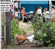  ?? And cafe ?? NATURAL DakAkker’s open-air roof farm