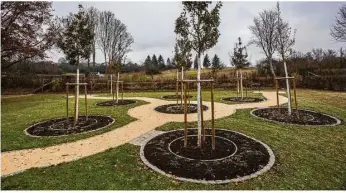  ?? Foto: Rudi Penk ?? Die neue Baumgraban­lage auf dem Wartberg-friedhof. Die Urnen ruhen im Kreis um sieben Apfelbäume. Jetzt hat der Gemeindera­t die Gebühren dafür festgesetz­t.