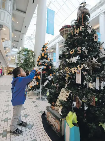  ??  ?? Three-year-old Gene Lagis checks out the bird atop Swan Lake Christmas Hill Nature Sanctuary’s entry in the Festival of the Trees, in the Bay Centre. The tree’s theme is The Lost Words, taken from the name of a book that is based on 20 nature-related words that were removed from the Oxford Junior Dictionary.