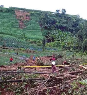  ?? (Foto ihsan APM Pahang) ?? Pasukan penyelamat meneruskan operasi mencari mangsa yang masih tertimbus.