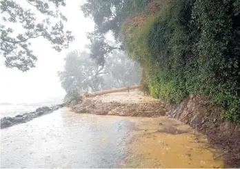  ?? ?? A slip on the Thames Coast near Tapu in 2018.