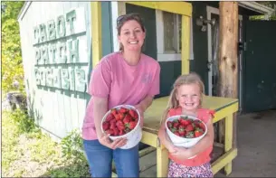  ?? ANGELA SPENCER/CONTRIBUTI­NG PHOTOS ?? The Cabot Patch owner Summer High, left, and her daughter Scarlett show off some of the strawberri­es they have been growing. The Cabot Patch will be one of the three local strawberry growers featured at the Cabot Strawberry Festival this year.