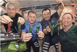  ?? NASA VIA AP ?? Mark Vande Hei, Shane Kimbrough, Akihiko Hoshide and Megan McArthur show off peppers grown aboard the Internatio­nal Space Station on Friday.