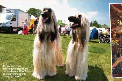  ?? ?? People and their four-legged friends are sure to have a lot of fun at Derbyshire County Show next month