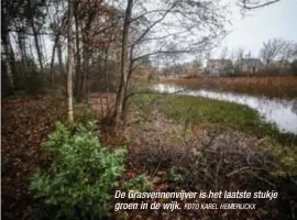  ?? FOTO KAREL HEMERIJCKX ?? De Grasvennen­vijver is het laatste stukje groen in de wijk.