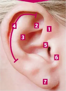  ??  ?? THERE’S so much more to your ear than the lobe. From anxiety to headaches, alternativ­e therapists believe stimulatin­g different parts can help alleviate problems elsewhere...