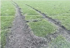  ?? ?? Damage done to playing fields at Ryhope.