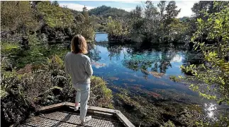  ?? PHOTO: ALDEN WILLIAMS/FAIRFAX NZ ?? Plans to extract water from the source of Te Waikoropup­u Springs aim to increase cow numbers in Golden Bay.