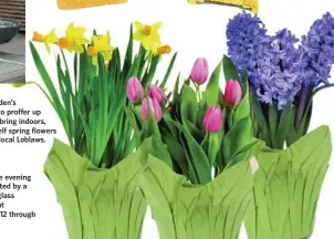  ??  ?? If your garden’s not ready to proffer up blooms to bring indoors, give yourself spring flowers from your local Loblaws. Linger long into the evening on a patio illuminate­d by a Paradise Lighting glass “jam-jar” solar light ($90 for a pack of 12 through...