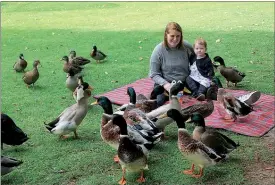  ??  ?? Hungry ducks at the Dannevirke Lower Domain sanctuary even stole McKenna (1) and Melissa Sinkinson’s KFC.