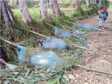  ??  ?? GAMBAR menunjukka­n antara mayat mangsa yang mati dibunuh dalam keganasan di wilayah Hela, Papua New Guinea. - Agensi