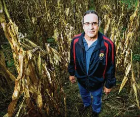  ?? NICK GRAHAM / STAFF 2016 CONTRIBUTE­D ?? Daryl Baldwin of the Miami Tribe of Oklahoma and director of the Myaamia Center at Miami University stands in a patch of tribal corn raised on university land. Baldwin was a 2016 winner of MacArthur Genius grant for expanding awareness of the Miami...