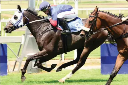  ??  ?? KEY RUNNER. Sean Tarry's charge Lock Him Up has the Vaal form to see him win Race 8 at the course tomorrow. And another Tarry runner, Hawaiian Sun could be the big danger.