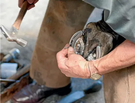  ??  ?? The first ever farrier competitio­n at Equiays is happening this year.