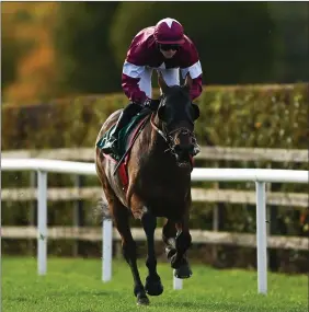  ??  ?? Tiger Roll is missing Saturday’s Grand National, but is racing at Aintree today in the Betway Bowl