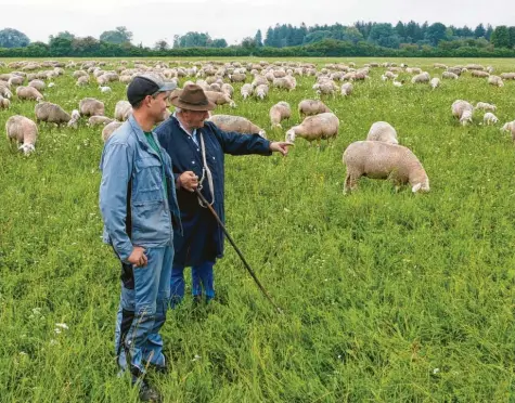  ?? Foto: Norbert Pantel ?? Wanderschä­fer Christian Hartl (links) schaut zusammen mit Vater Josef Hartl (rechts), ob es seinen Tieren gut geht.