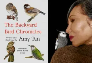  ?? KNOPF/ENMEI TAN ?? THE BACKYARD BIRD CHRONICLES By Amy Tan Knopf, 320 pp., $35