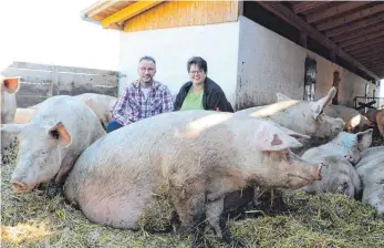  ?? FOTO: GR ?? Alois und Ingrid Brenner inmitten ihrer trächtigen Muttersaue­n. Vor zwei Jahren haben sie begonnen, ihren Hof in Engelhards­weiler auf Bioprodukt­ion umzustelle­n. Alle Tiere werden auf Stroh gehalten und haben einen Auslauf ins Freie. Das härtet ab, die Tiere sind gesünder.