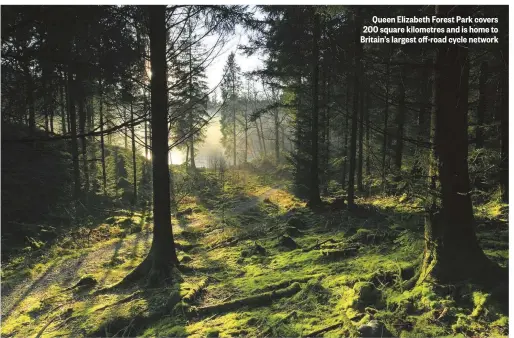  ??  ?? Queen Elizabeth Forest Park covers 200 square kilometres and is home to Britain’s largest off-road cycle network