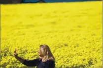  ??  ?? Carmen Bryant, of Aptos, grabs a selfie as she gets immersed in a sea of yellow.