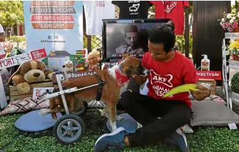  ?? —PHOTOS BY LYN RILLON ?? Animal Kingdom Foundation animal rescue volunteer Reymart Tabug fans his rescue dog in a wheelchair, Sherlock.