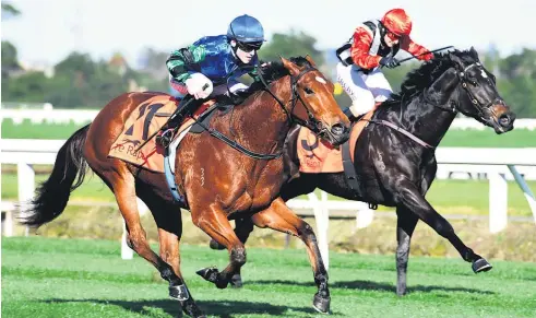  ?? Picture / Race Images ?? Bella Gioia (left) will make her Australian debut in the Fred Best Classic at Eagle Farm on Saturday.