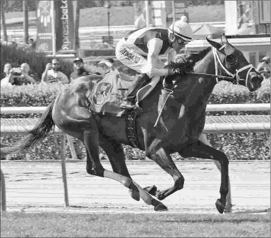  ?? SHIGEKI KIKKAWA ?? Paved, winning the Honeymoon on June 9, was hurt by a slow pace last out in the Belmont Oaks.