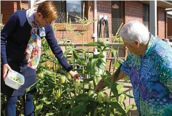  ?? PHOTOS: CONTRIBUTE­D ?? INDEPENDEN­CE: Residents enjoy creating their own garden space.