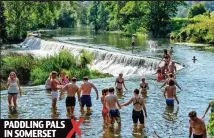  ??  ?? PADDLING PALS IN SOMERSET