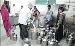  ?? Bhupendra Rana ?? Farmers pouring milk at a cooperativ­e society collection centre in Banaskanth­a, Gujarat.