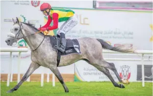  ??  ?? Royal Cavalry’s ‘Jiblani’ won the title of the first round of Arabian horses competitio­ns in the 1,600 metres race held at the Abu Dhabi Equestrian Club recently. Royal Cavalry rider Tchouban Mazouri, and supervised by coach Younis al Kalbani, succeeded to be on top after tough competitio­n from other riders. “Tahan” came in second position by the rider Khalid Khalifa al Nabouda.