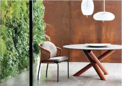  ??  ?? Top Minotti’s ‘ Van Dyck’ table (£7,955) and the ‘Aston Cord’ chair (£2,740) by Rodolfo Dordoni are designed for outdoor use – even the seat’s cushions are made from a special water-repellent fabric (minottilon­don.com) Left Vernonia elliptica ( known...