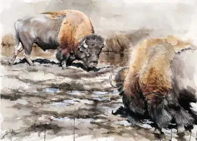  ??  ?? Mud Dance, watercolor on rag, 30 x 41½"